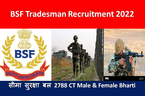 BSF Constable Tradesman