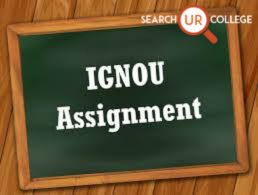 ignou assignment