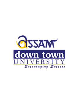 Assam Down Town University