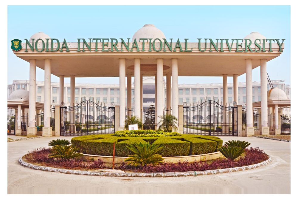 Noida International University Online MBA